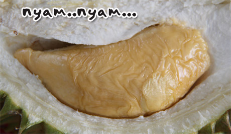 isi-durian