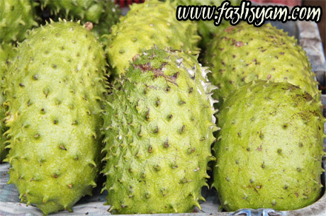 durian-belanda