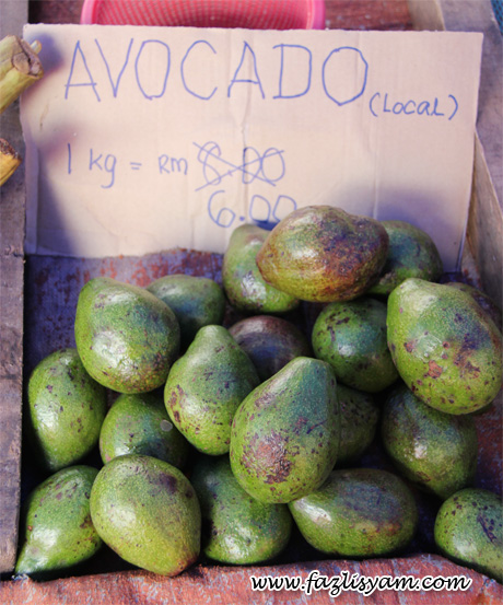 buah-avocado