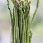 Sayur Asparagus