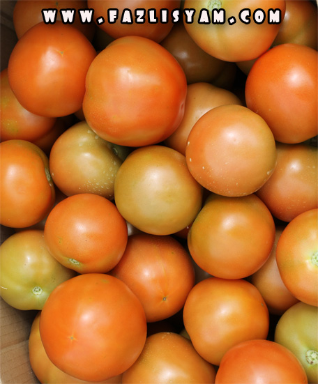 buah-tomato3