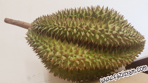 durian-belimbing2
