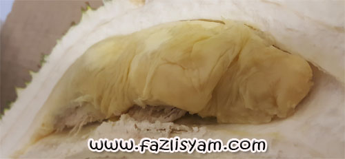 durian-belimbing22