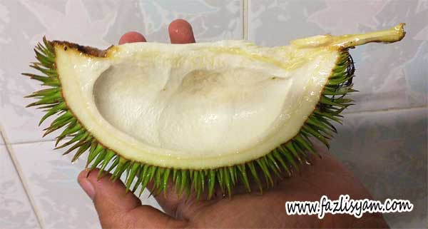Nama saintifik durian