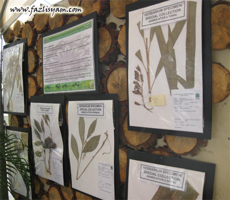 Pengenalan kepada Herbarium