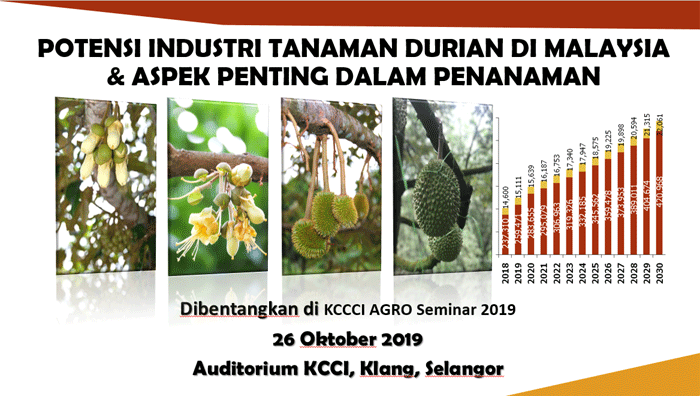 Potensi Industri Tanaman Durian