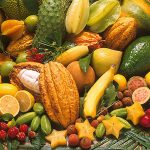 Buah-buahan Tropika - manfaat untuk kesihatan, industri makanan, perubatan, dan industri.