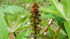 Brown-and-Grey-Simple-Photo-Marketing-Tips-Trick-Facebook-Cover-2023-07-21T202454.663