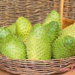 Durian Belanda - Kajian berkaitan Sifat Anti-Diabetes