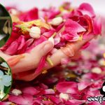 Mandi Bunga: Tradisi Dalam Masyarakat Melayu?