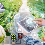 Impak Teknologi Pertanian Moden: Baik & Buruk?