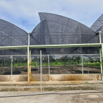 Rumah Lindungan Tanaman (RLT) sebagai Infrastruktur Pertanian Moden