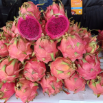 Buah Naga Merah (Hylocereus polyrhizus): Morfologi, Nutrisi dan Potensi Pasaran