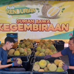 Durian Bawa Kegembiraan: Analisis Ekonomi, Sosial dan Budaya