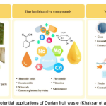 Inovasi Hijau dalam Pengurusan Sisa Durian: Aplikasi dalam Bahan Biodegradasi dan Tenaga image