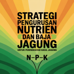 Strategi Pengurusan Nutrien dan Baja untuk Peningkatan Hasil Jagung image