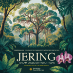 Pembiakan, Fenologi dan Kepentingan Ekologi Jering dalam Ekosistem Hutan Hujan image