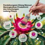 Pendebungaan Silang Manual Meningkatkan Produktiviti dan Keuntungan Ladang Pitaya image