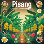 Pisang: Tanaman Tropika Serbaguna image