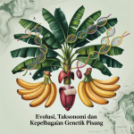 Evolusi, Taksonomi dan Kepelbagaian Genetik Pisang image