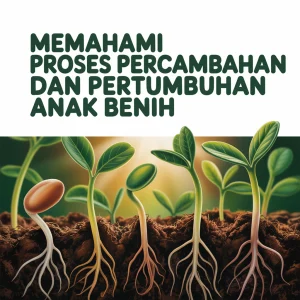 ynsh1jA4SJOW9xf1naqT-w