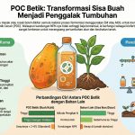 Untitled design (18)