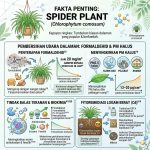 Untitled design (22)