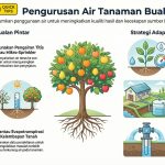 Menguasai "The Big Two": Strategi Integrasi Nutrien dan Air untuk Hasil Buah Premium asas pengurusan buah (2)