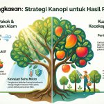 asas pengurusan buah (4)