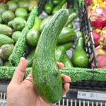 Avokado Vietnam Long Neck sebagai Variasi Buah Berbentuk Memanjang image