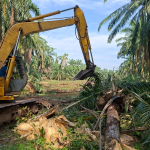 Kerja Pembersihan dan Penyediaan Semula Kawasan Ladang Kelapa Sawit image