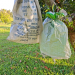 Pembungkusan Buah Nangka sebagai Kaedah Perlindungan di Ladang image