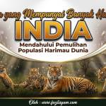 Negara yang Mempunyai Banyak Harimau: India Mendahului Pemulihan Populasi Harimau Dunia image