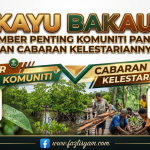 Kayu Bakau: Sumber Penting Komuniti Pantai dan Cabaran Kelestariannya