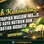 Buah Kedondong: Buah Tropika Masam-Manis yang Kaya Nutrien dan Sebatian Bioaktif Buah Kedondong: Buah Tropika Masam-Manis yang Kaya Nutrien dan Sebatian Bioaktif