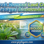 Ekstrak Rumpai Laut Cecair sebagai Biostimulan: Kesan terhadap Pertumbuhan dan Serapan Nutrien Kailan