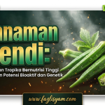 Tanaman Bendi: Sayuran Tropika Bernutrisi Tinggi dengan Potensi Bioaktif dan Genetik