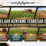 Pengeluar Kentang Terbesar Dunia: Mengapa Asia Kini Mendominasi Pengeluaran Global?