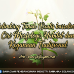 Belimbing Tanah (Oxalis barrelieri): Ciri Morfologi, Habitat dan Kegunaan Tradisional image