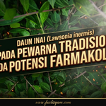 Daun Inai : Daripada Pewarna Tradisional kepada Potensi Farmakologi image