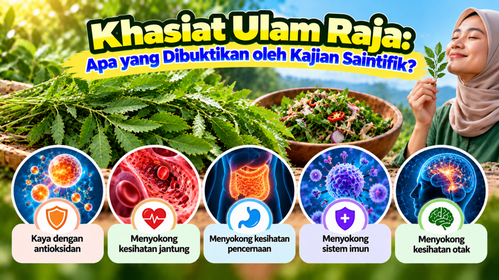 11a90cd4