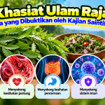 11a90cd4