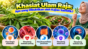 11a90cd4