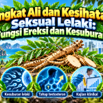 4e378a35