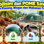 54c3b3a2