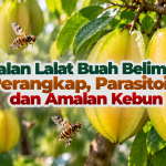 636342ab