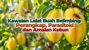 636342ab