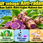 Cekur sebagai Anti-radang dan Penahan Sakit: Bukti Kajian Makmal dan Haiwan 71020fb4