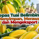 Lepas Tuai Belimbing: Menyimpan, Merawat dan Mengeksport 86a95cb4