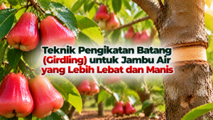 95d37f7e